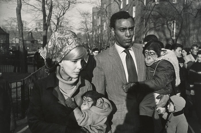 Central Park Zoo, New York/1967/Garry Winogrand