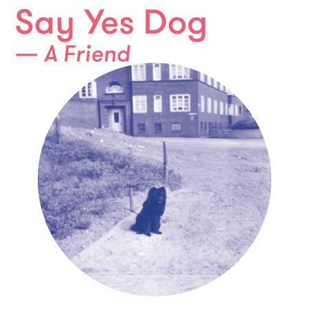 EP 'A Friend' de Say Yes Dog