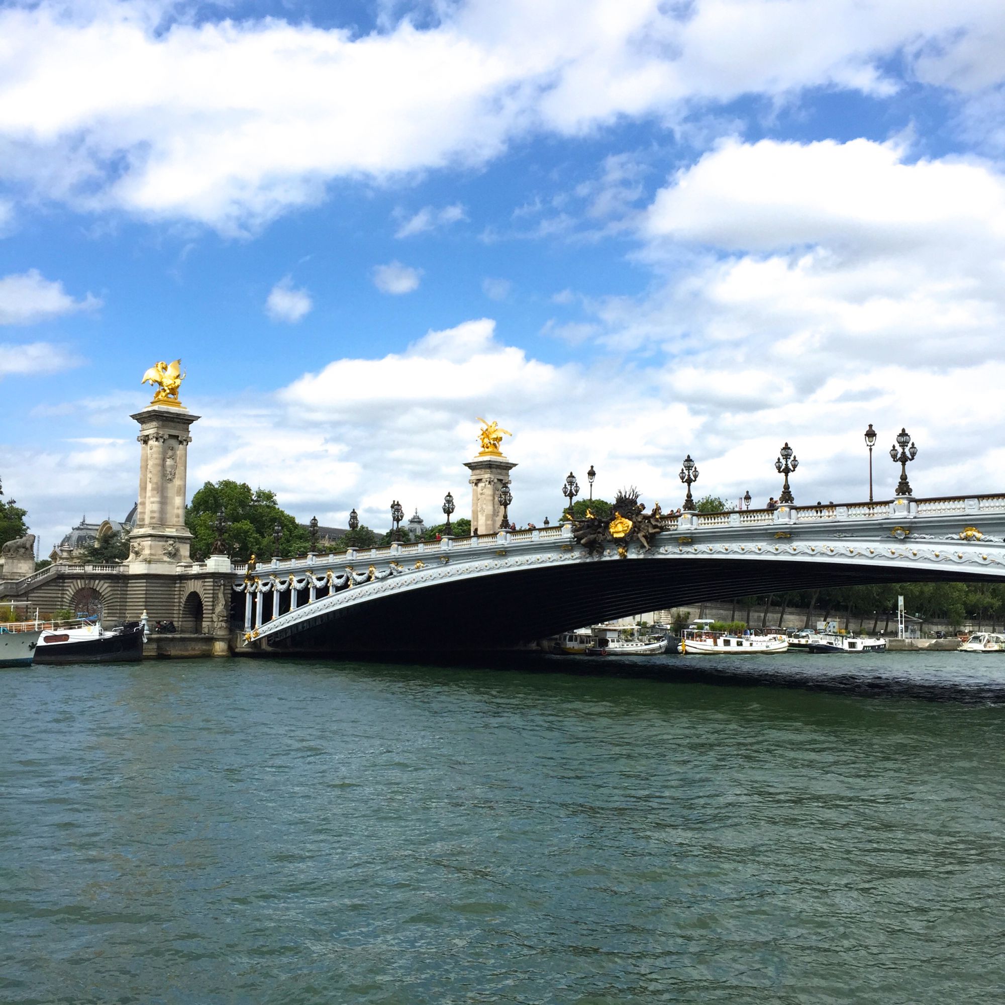 Le Bistrot Alexandre III sous le Pont Alexandre III côté Rive Gauche - Photo 4