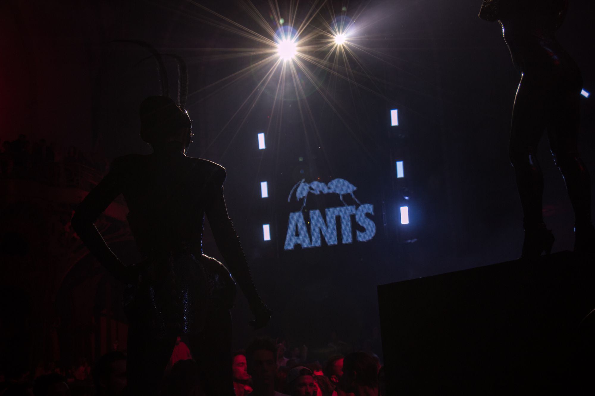 Ants Party au Superclub du Cinema Paradiso - Photo 92