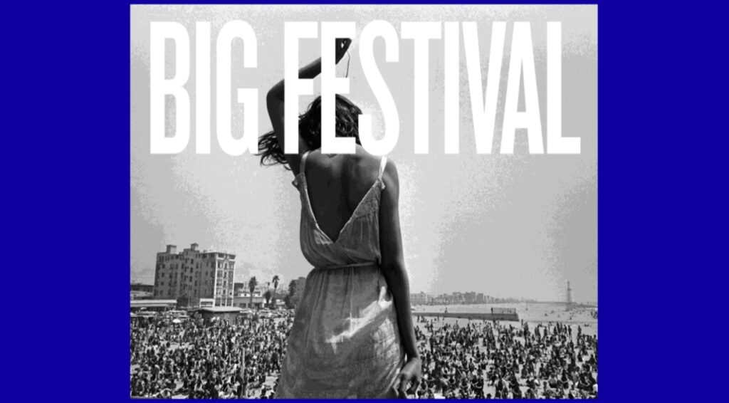 Le Big Festival aura lieu du du 9 au 17 juillet 2016 à Biarritz.