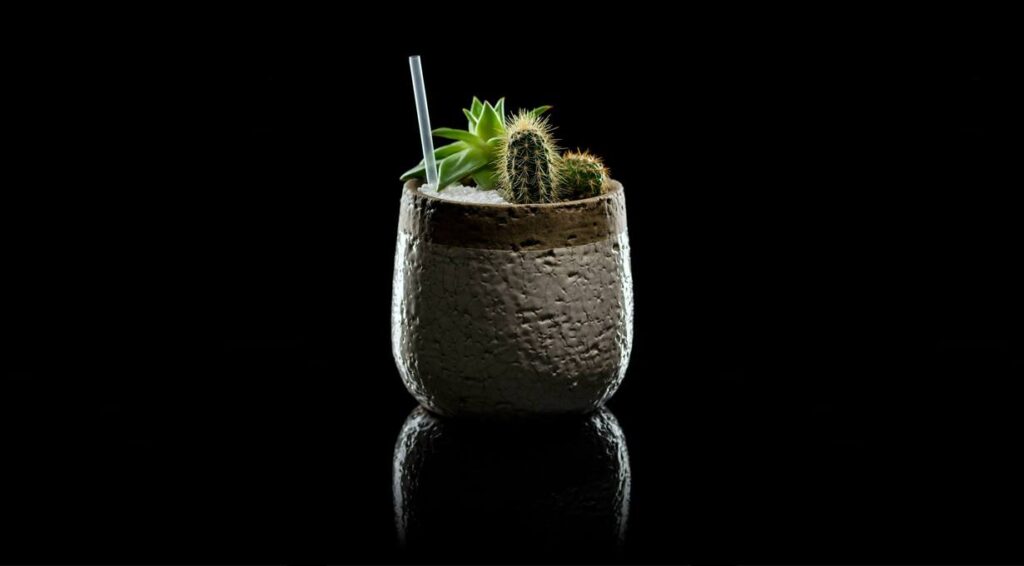 Le cocktail El Cinco de Mayo du Bar Botaniste