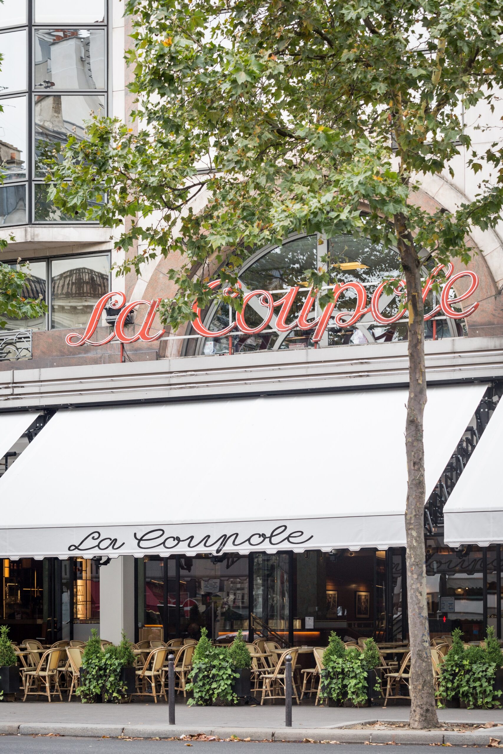 La Coupole, 102 boulevard de Montparnasse, 75014 Paris - Photo 5