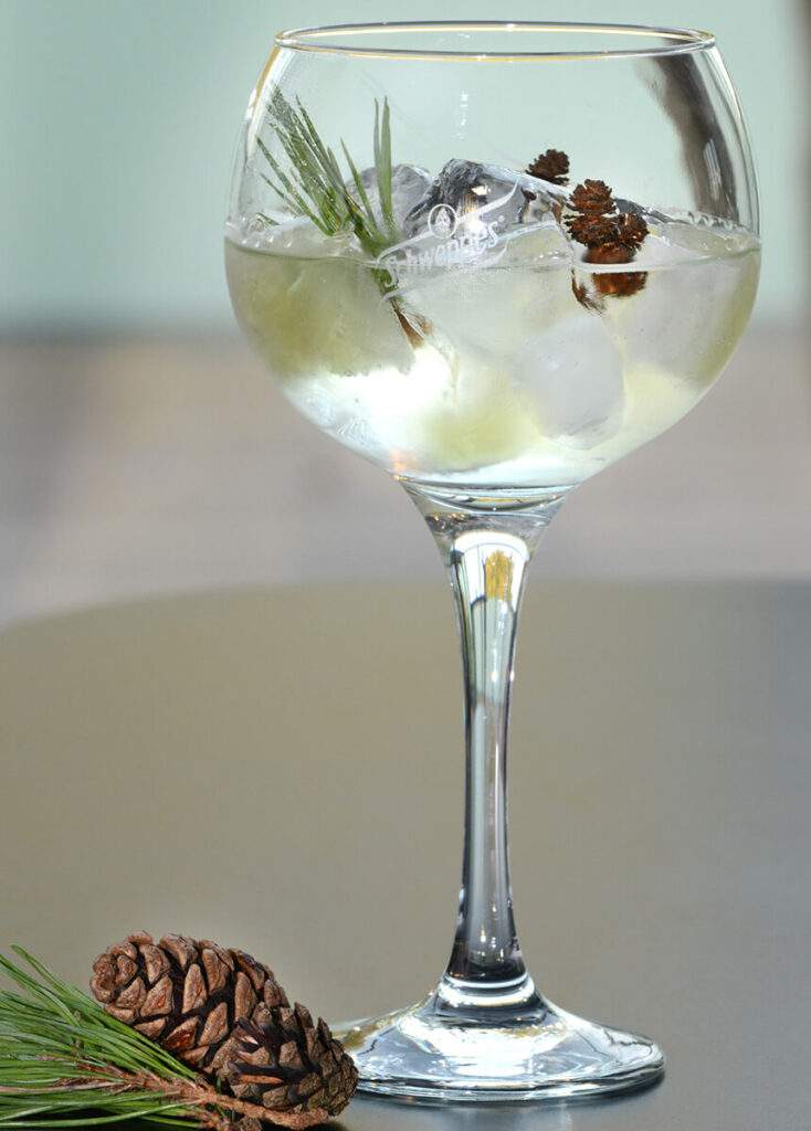 Cocktail Gin Tonic de Noël