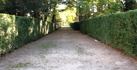 Villa Schweppes à La Clairière du Grand Saint-Jean jeudi 6 septembre 2018 - Photo 4