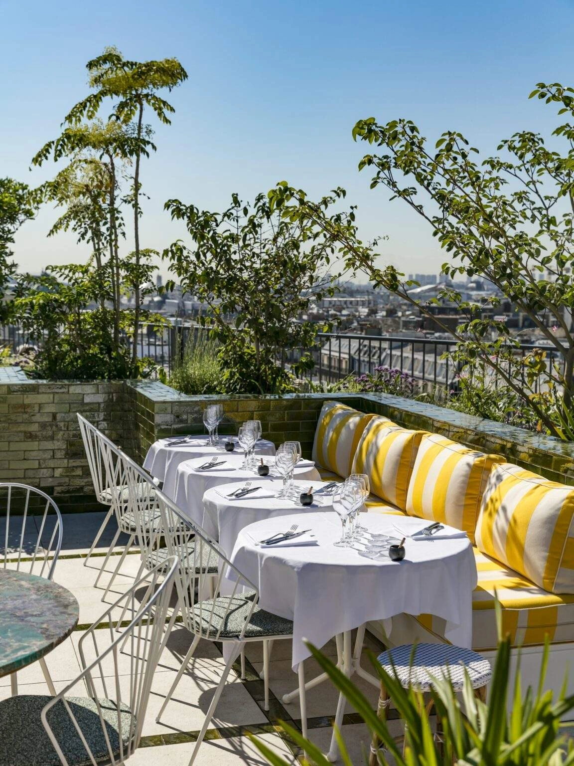 Perruche©RomainRicard-28