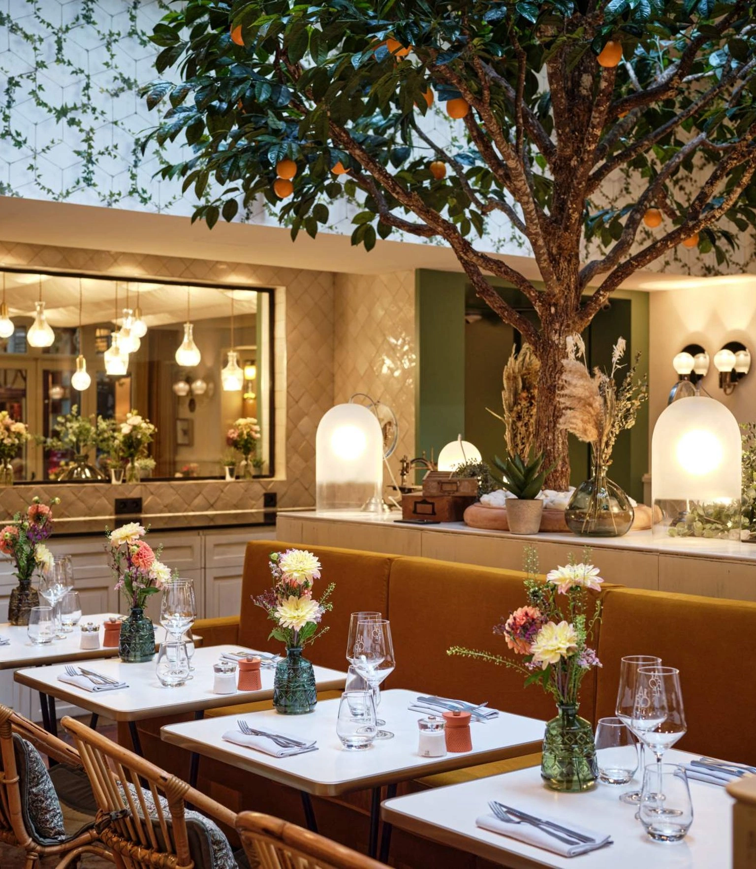 Arboré : le restaurant bar végétal et chaleureux de Paris