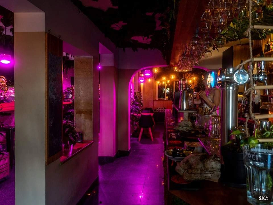 King Kong Bar, le bar à cocktails à Bordeaux le plus exotique