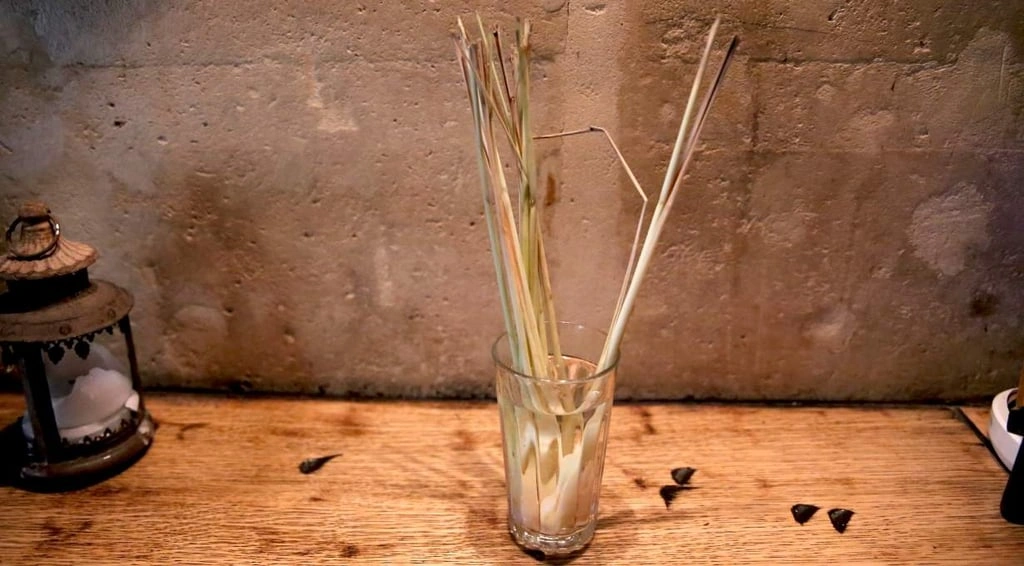 Astuce : Comment préparer son sirop de citronnelle maison