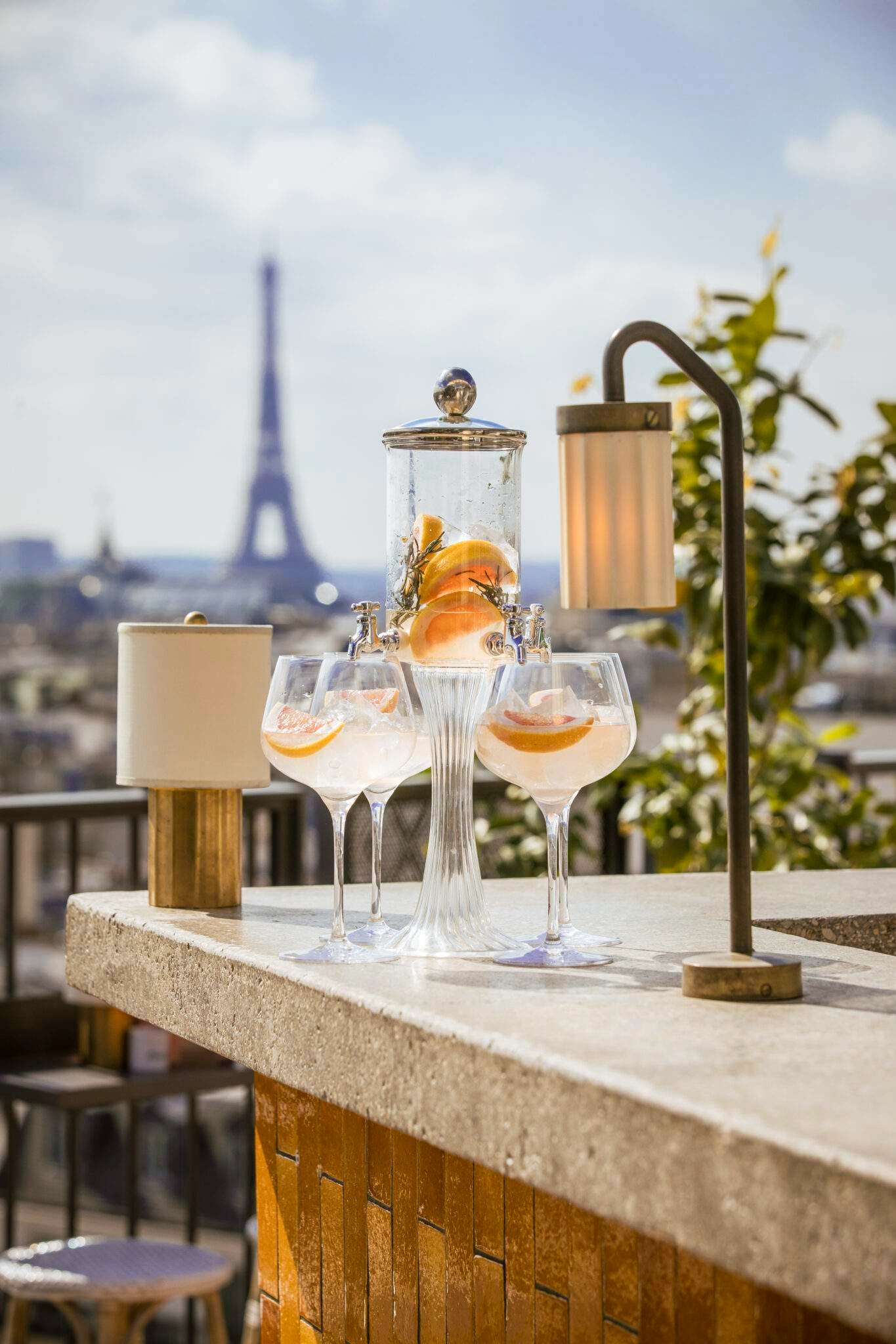 Perruche©RomainRicard-28