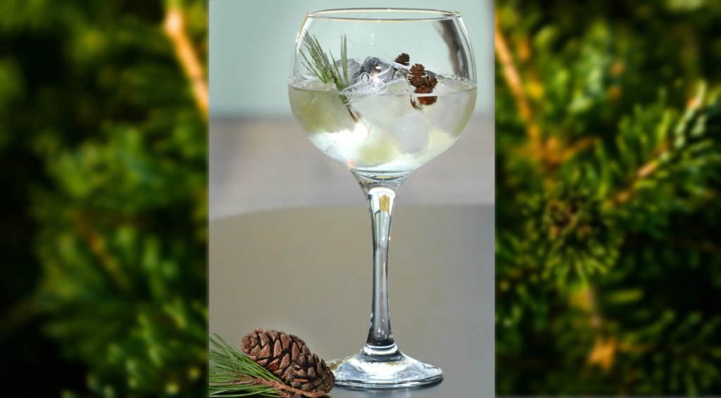 Le Gin Tonic de Noël, une variation de ce cocktail incontournable.