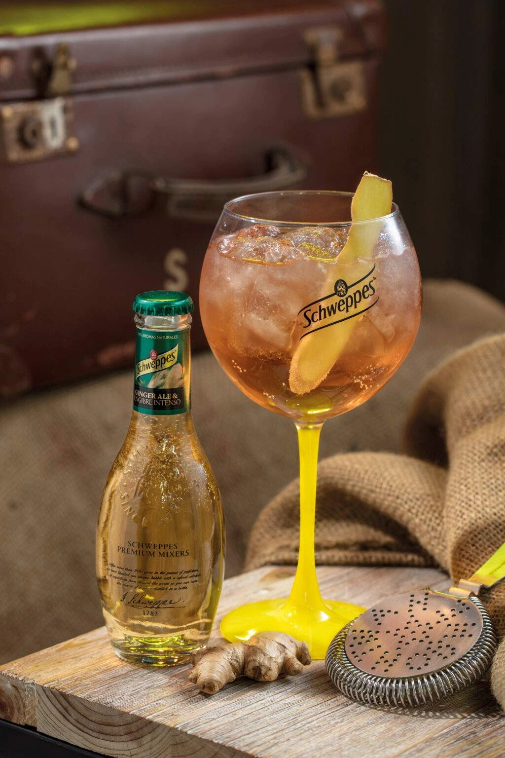 Ginger Ale Martini, un cocktail au Martini et Schweppes Ginger Ale